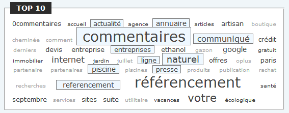 06-referencement-naturel.png
