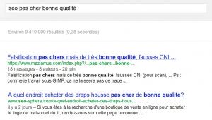 seo-pas-cher-bonne-qualit.jpg